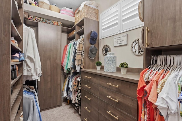 spacious closet with light carpet