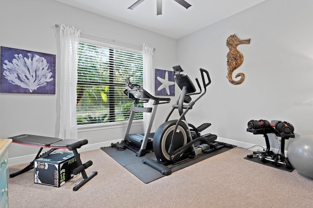 exercise area with ceiling fan and carpet flooring