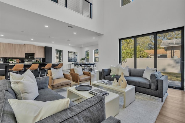 living room featuring light hardwood / wood-style floors and a high ceiling