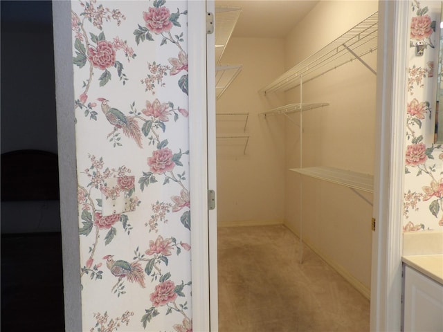 spacious closet featuring light carpet