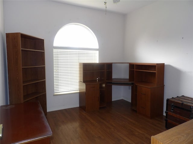 unfurnished office featuring dark hardwood / wood-style floors