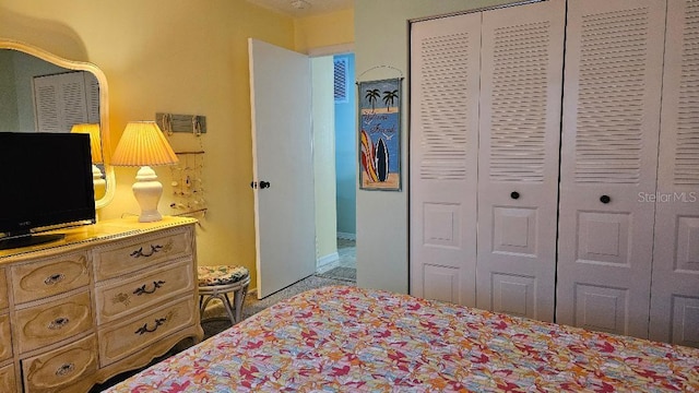 bedroom with a closet
