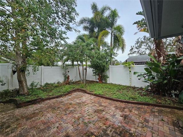 view of yard with a patio