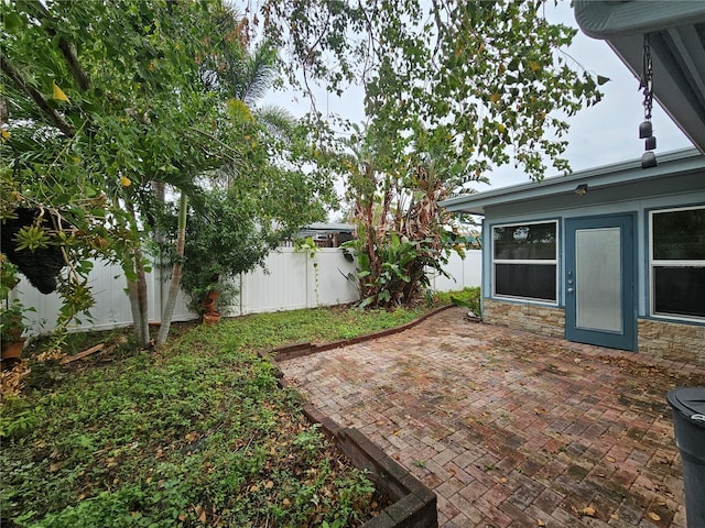 view of yard featuring a patio area