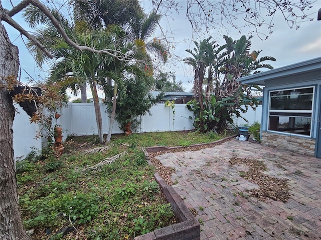 view of yard with a patio area