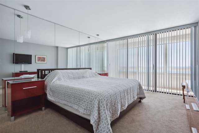 bedroom with a water view, a wall of windows, carpet, and multiple windows