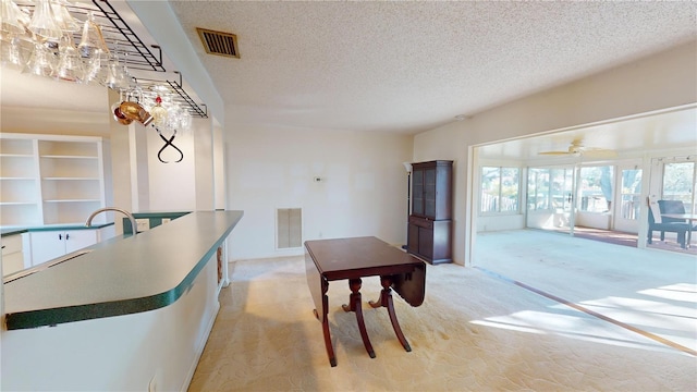 interior space featuring sink and a textured ceiling