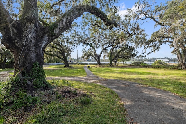 view of home's community with a lawn