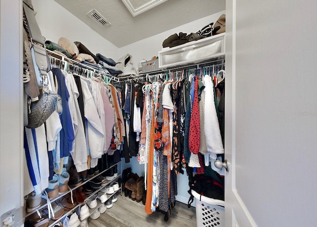 spacious closet with hardwood / wood-style flooring