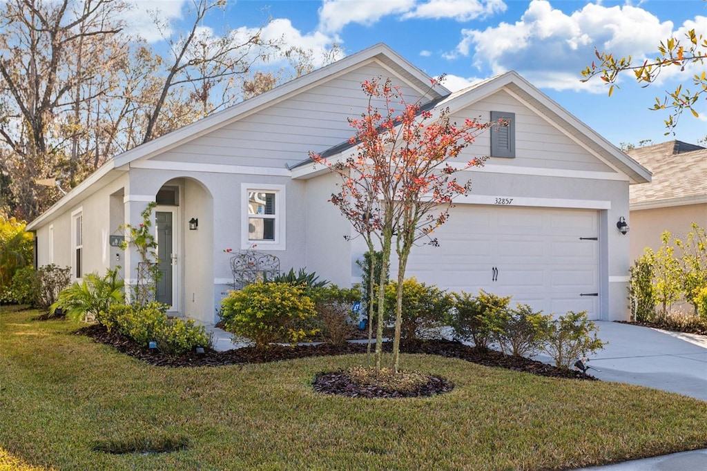 32857 Brooks Hawk Ln, Wesley Chapel, FL 33543 - single story home with a garage and a front yard