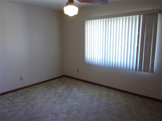 unfurnished room featuring carpet