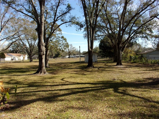 view of yard with a storage unit