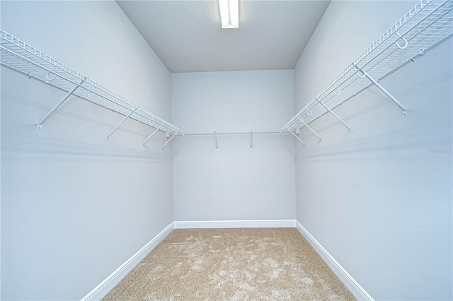 walk in closet with carpet