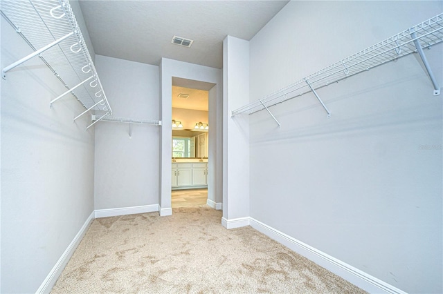 walk in closet with carpet flooring