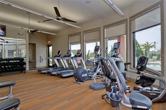 gym featuring a wealth of natural light and ceiling fan