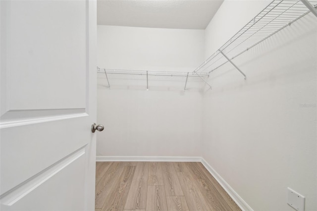 spacious closet featuring light wood-type flooring