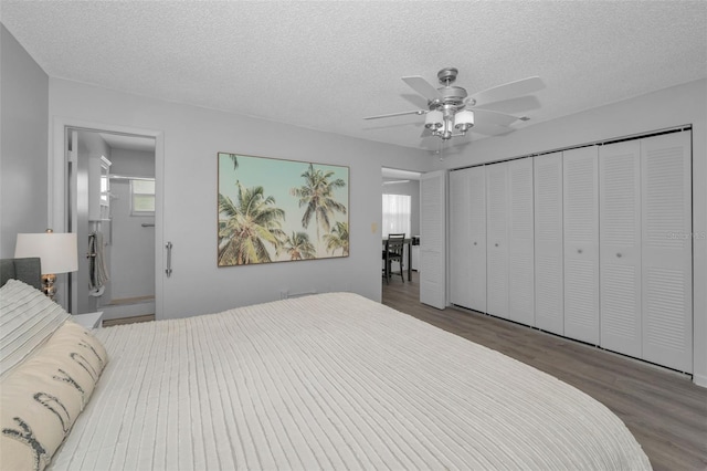 bedroom featuring a ceiling fan, wood finished floors, ensuite bathroom, a textured ceiling, and a closet