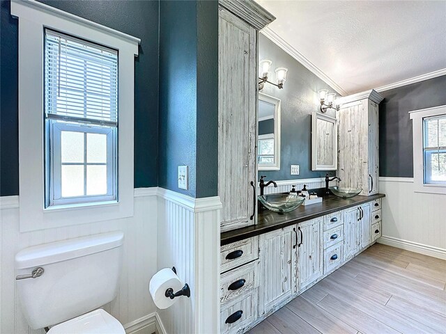 full bathroom featuring ornamental molding, wainscoting, a sink, and toilet