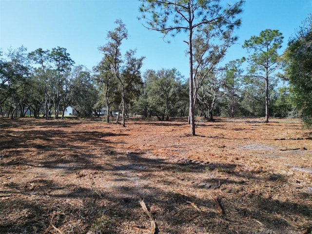 view of local wilderness