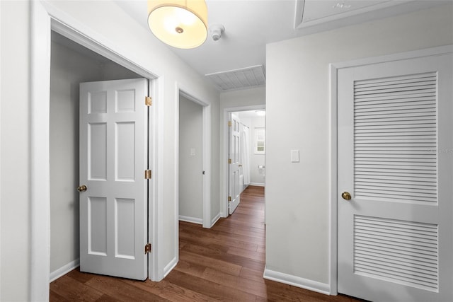 hallway featuring dark wood-type flooring