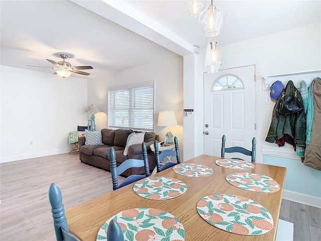 dining space featuring light hardwood / wood-style flooring and ceiling fan