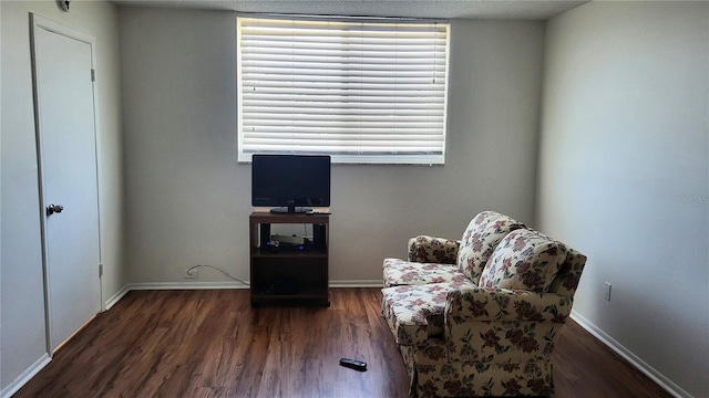 living area with dark wood-type flooring