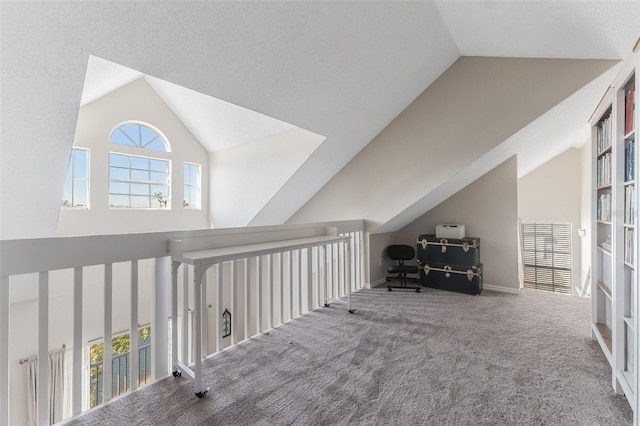 bonus room with lofted ceiling and carpet