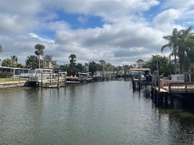 dock area with a water view