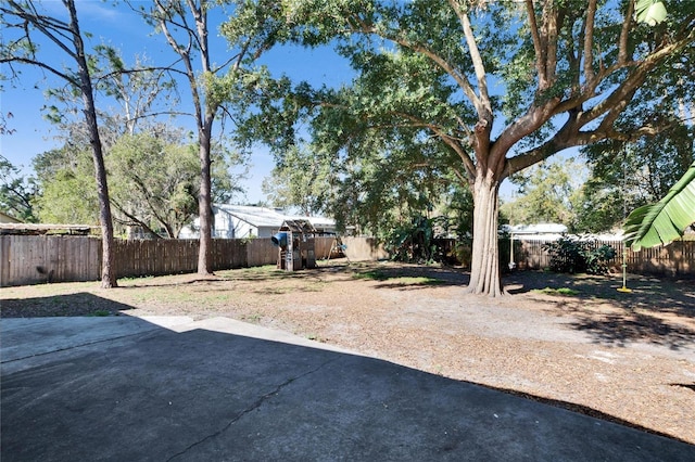 view of yard featuring a patio area