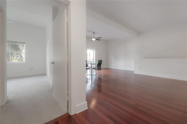 hall with dark hardwood / wood-style flooring and plenty of natural light