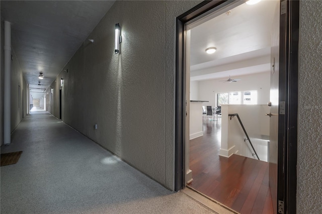 corridor with dark hardwood / wood-style flooring