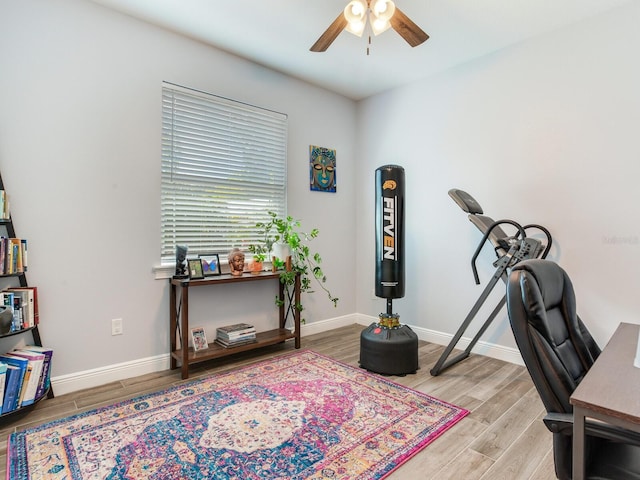 office space with light hardwood / wood-style flooring and ceiling fan