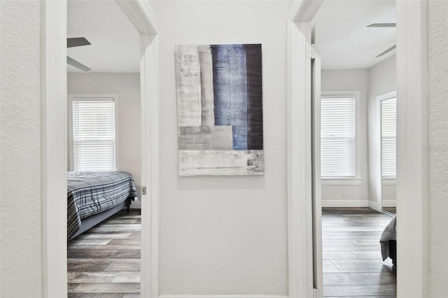 hallway with wood-type flooring and a healthy amount of sunlight