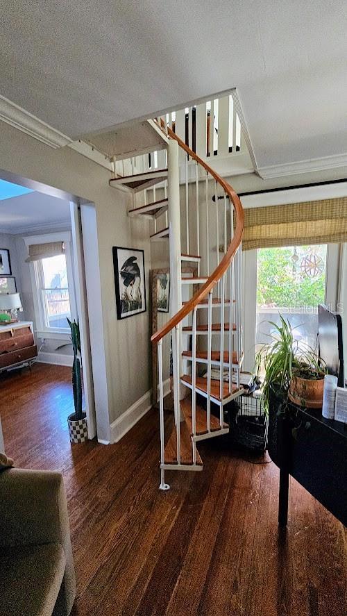 stairs featuring crown molding, wood-type flooring, and a textured ceiling