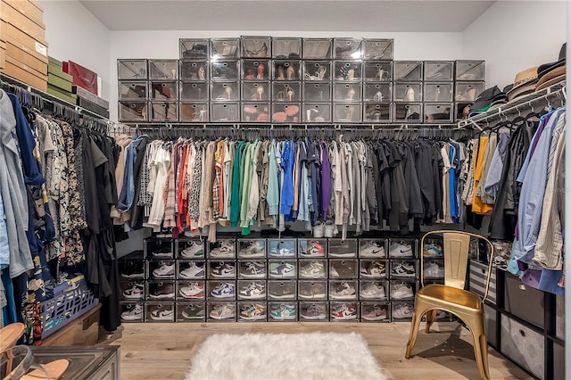 walk in closet featuring hardwood / wood-style flooring