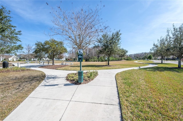 view of community with a yard