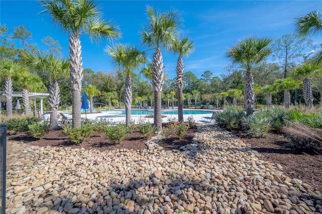 view of swimming pool featuring a pergola