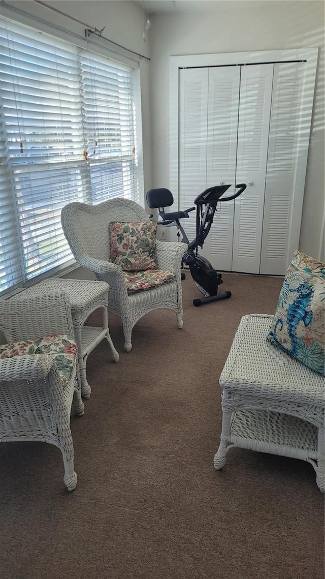 living area with dark colored carpet