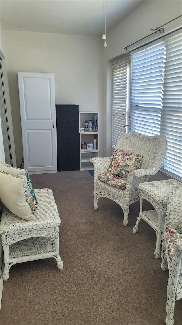 living area featuring carpet floors