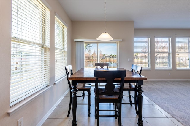 carpeted dining room with a wealth of natural light