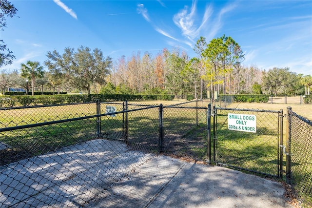 exterior space with a yard