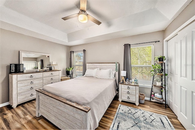 bedroom with multiple windows, dark wood-type flooring, and a raised ceiling