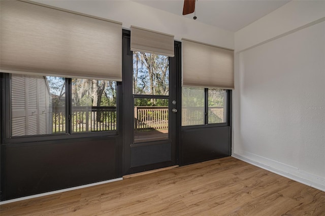 doorway featuring hardwood / wood-style flooring and ceiling fan