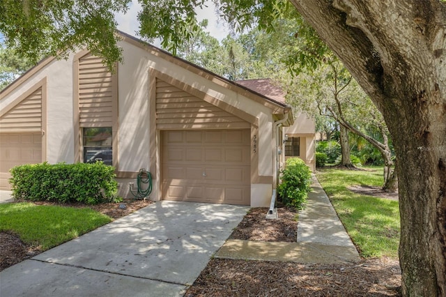3985 Mermoor Dr, Palm Harbor, FL 34685 - photo 2