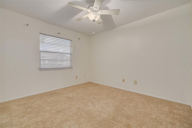 3985 Mermoor Dr, Palm Harbor, FL 34685 - photo 21