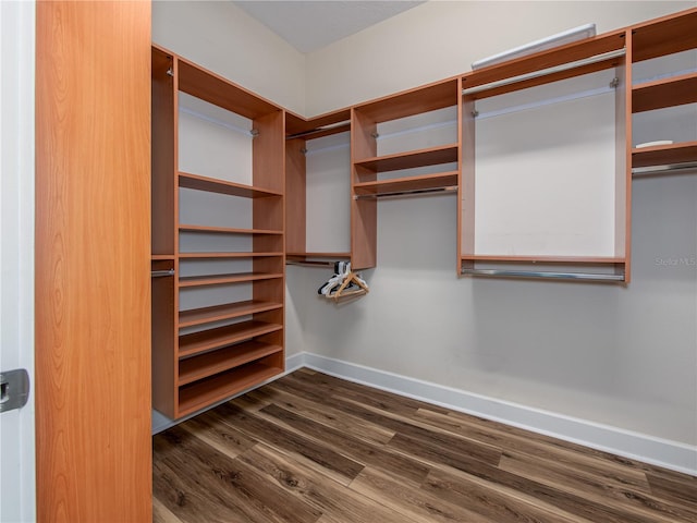 walk in closet featuring dark hardwood / wood-style flooring