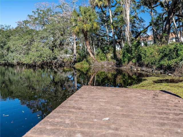 view of dock featuring a water view