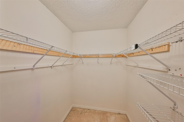 spacious closet with carpet flooring