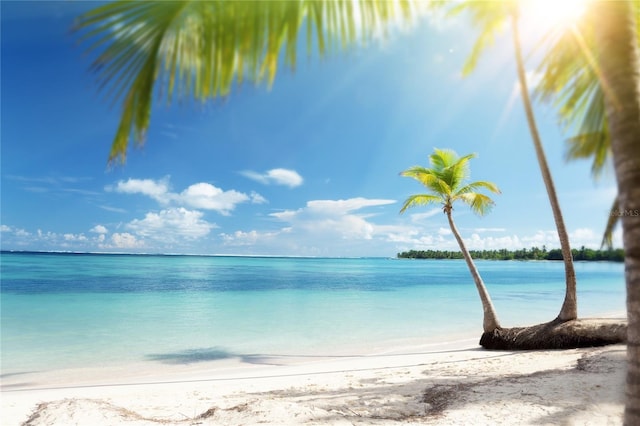 property view of water with a beach view