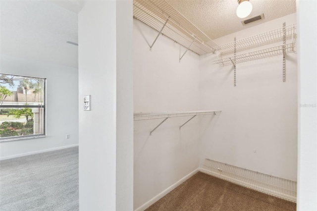 spacious closet featuring dark colored carpet